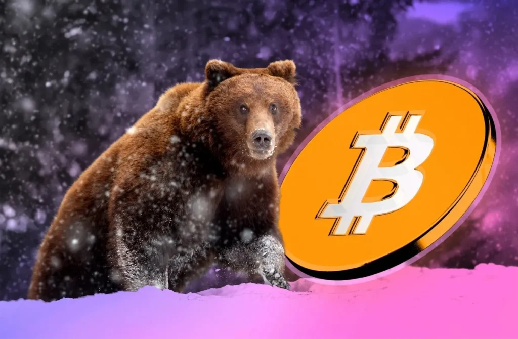 Crypto Bear Market