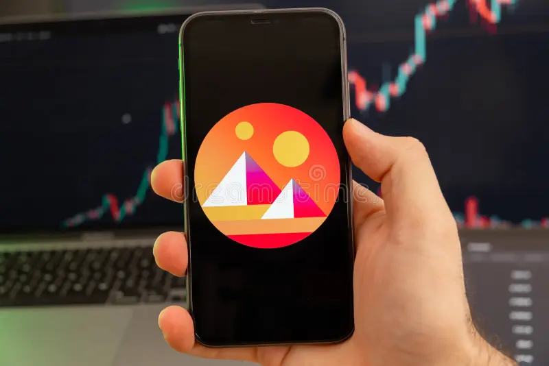 My Real Experience Holding MANA Crypto Through Market Swings