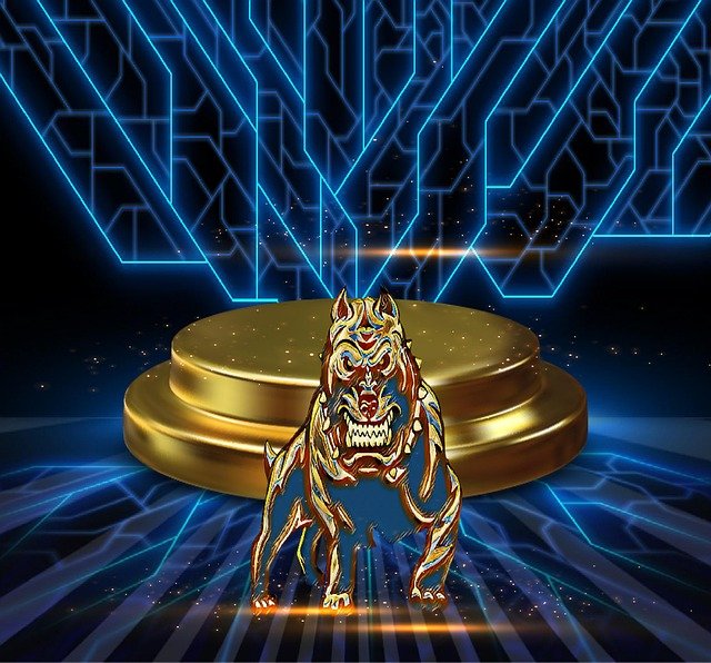 Mad Metaverse Crypto Experiments From a VR Setup Technician