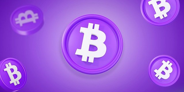 Trading Monkey Token Crypto in the Meme Coin Cycles I’ve Watched Firsthand