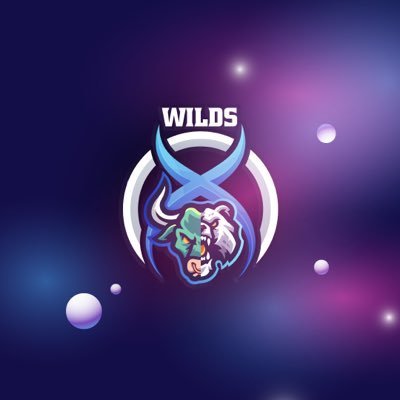 Tracking the Early Signals Around 0xwilds Crypto Activity